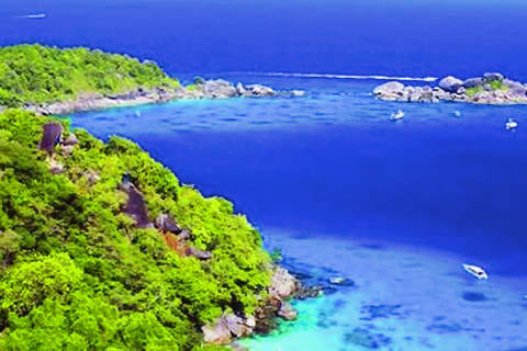 ͼƬ����