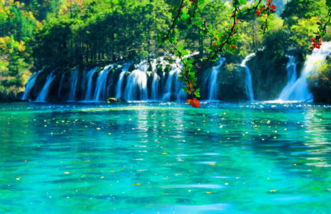 ͼƬ����